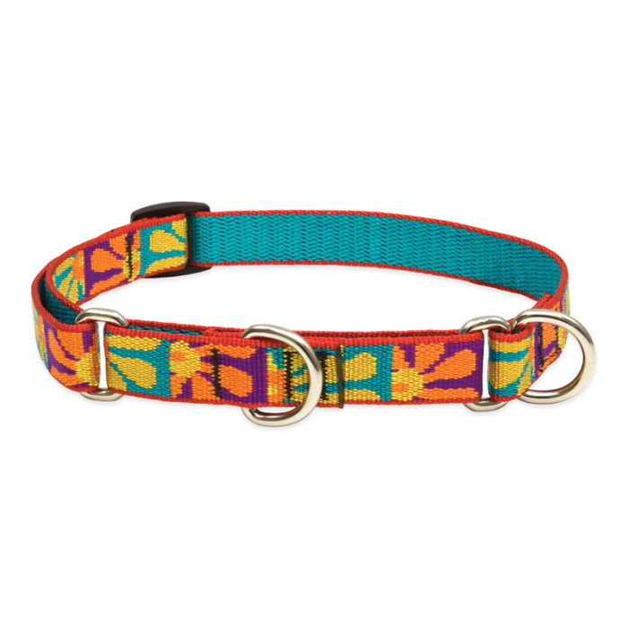 Lupine 3/4 Inch Crazy Daisy Martingale Collar • Three Dogs Training