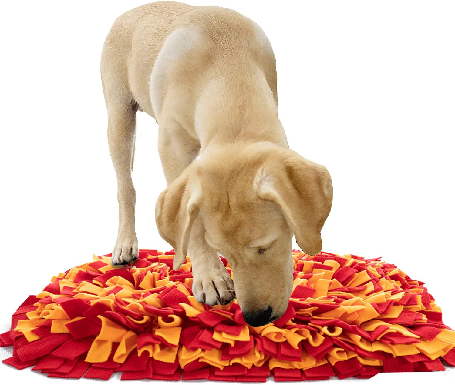 Snuffle Mat • Three Dogs Training